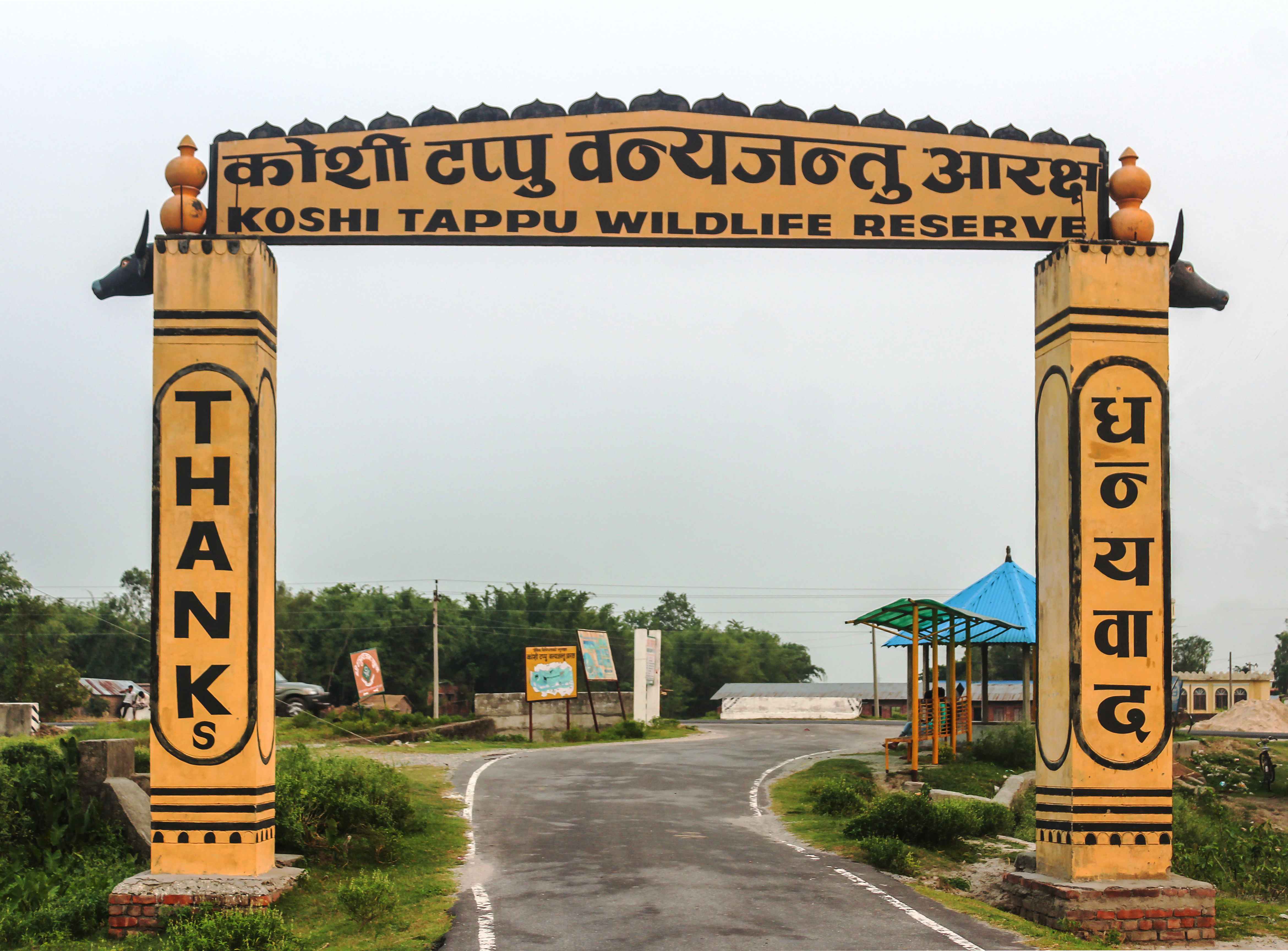 एक वर्षमा ११ हजार भन्दा बढी पर्यटक पुगे कोशी टप्पु