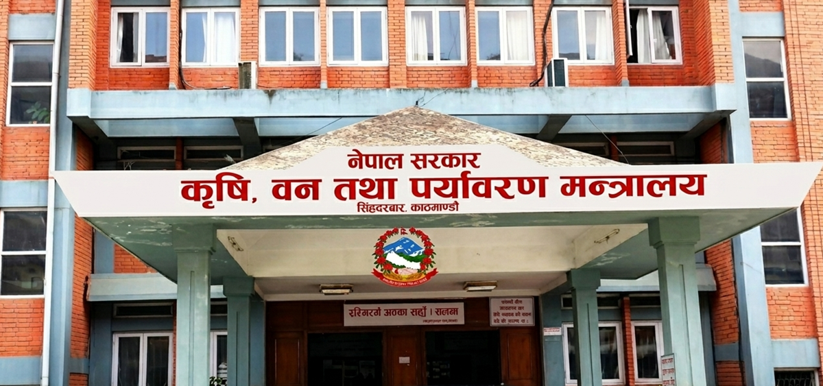 किसानलाई दूधको रकम भुक्तानी तीव्र : दैनिक १ करोड भुक्तानी हुँदै, दुई दिनमा एक महिनाको भुक्तानी हुने