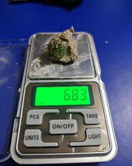 मलद्धारमा लुकाएर ब्राउन सुगर ल्याउने कुमाल पक्राउ