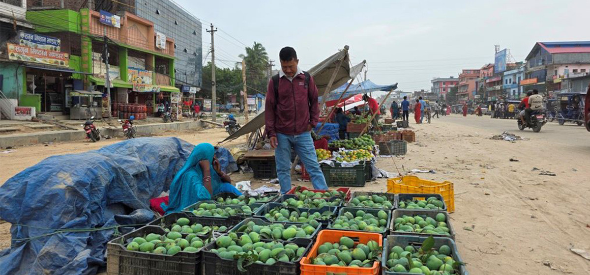 नाम चलेको लहानको आँप,बदनामीको भारी बोकेको बजार