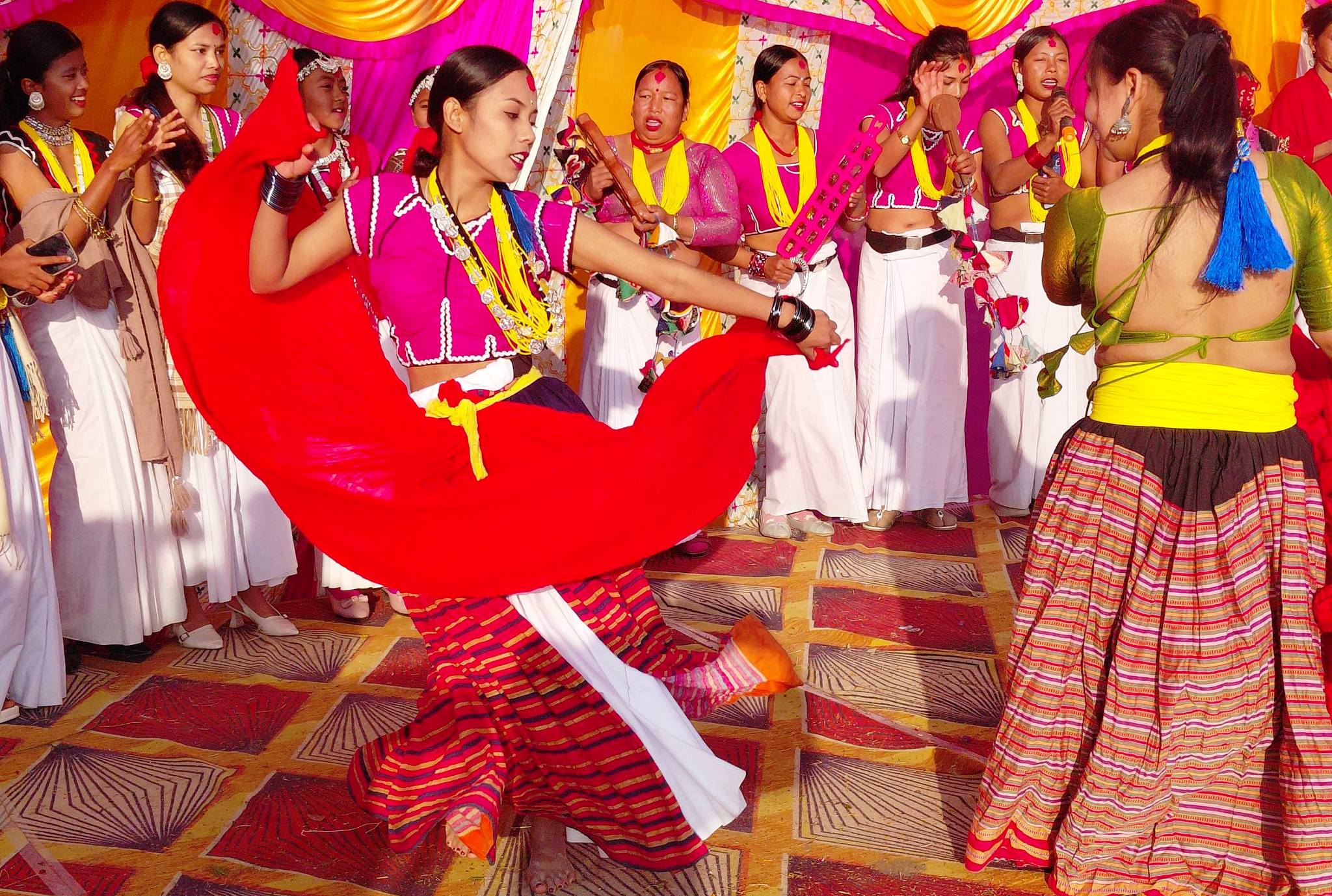 लोप हुँदै थारू समुदायको ‘ढुम्री’ नाच