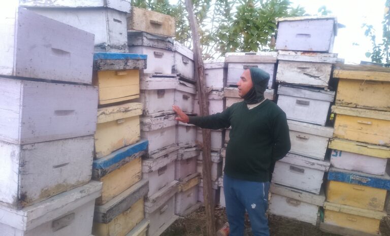 अवकाशपछिको जाँगरः मौरीपालनबाट मनग्य आम्दानी गर्दै घनश्याम