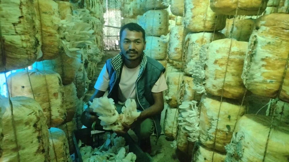 हाइटेक टनेलमा च्याउखेती गरी मनग्य आम्दानी गर्दै वीरहादुर- वर्षमा १० लाख नाफा कमाउँछन्