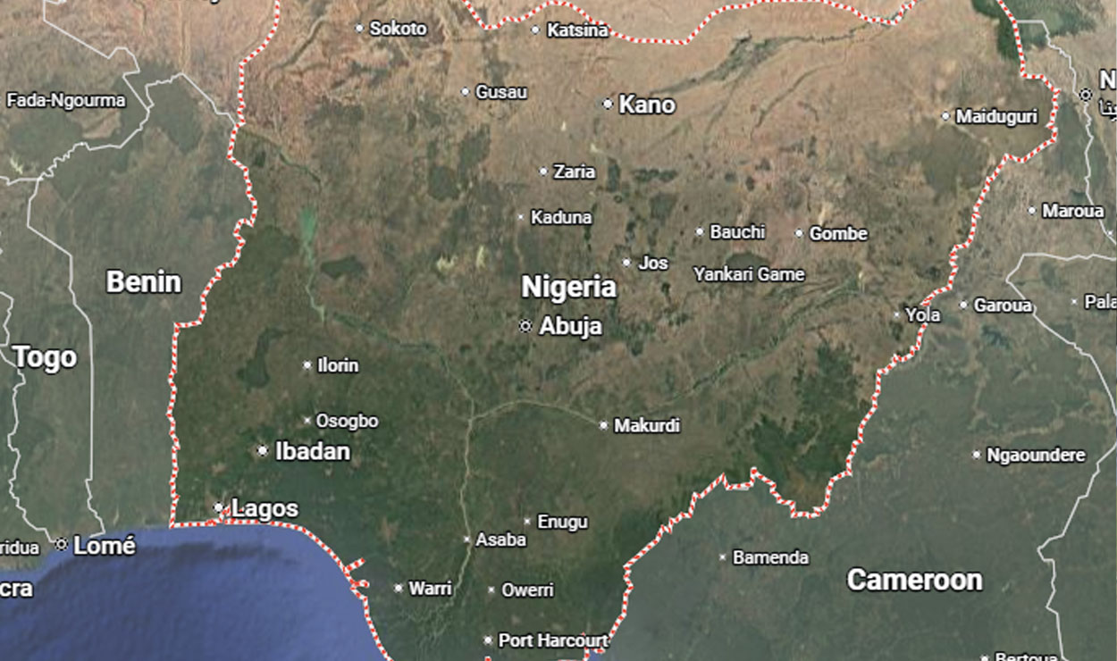 नाइजेरियाको विद्यालयमा बन्दुकधारीद्वारा आक्रमण, ३१५ जना अपहरित