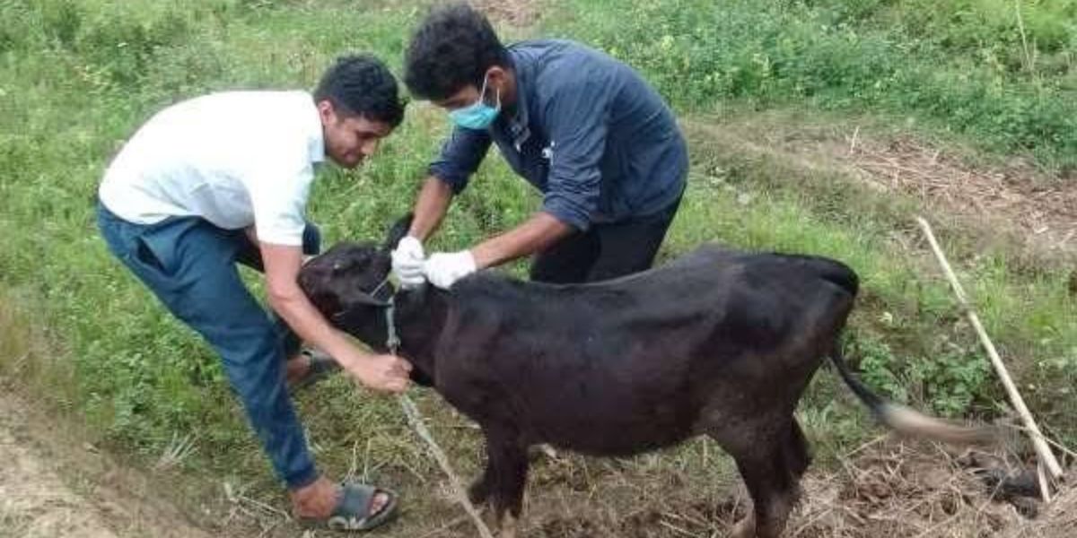 देउमाईमा खोरेतबिरुद्दको खोप
