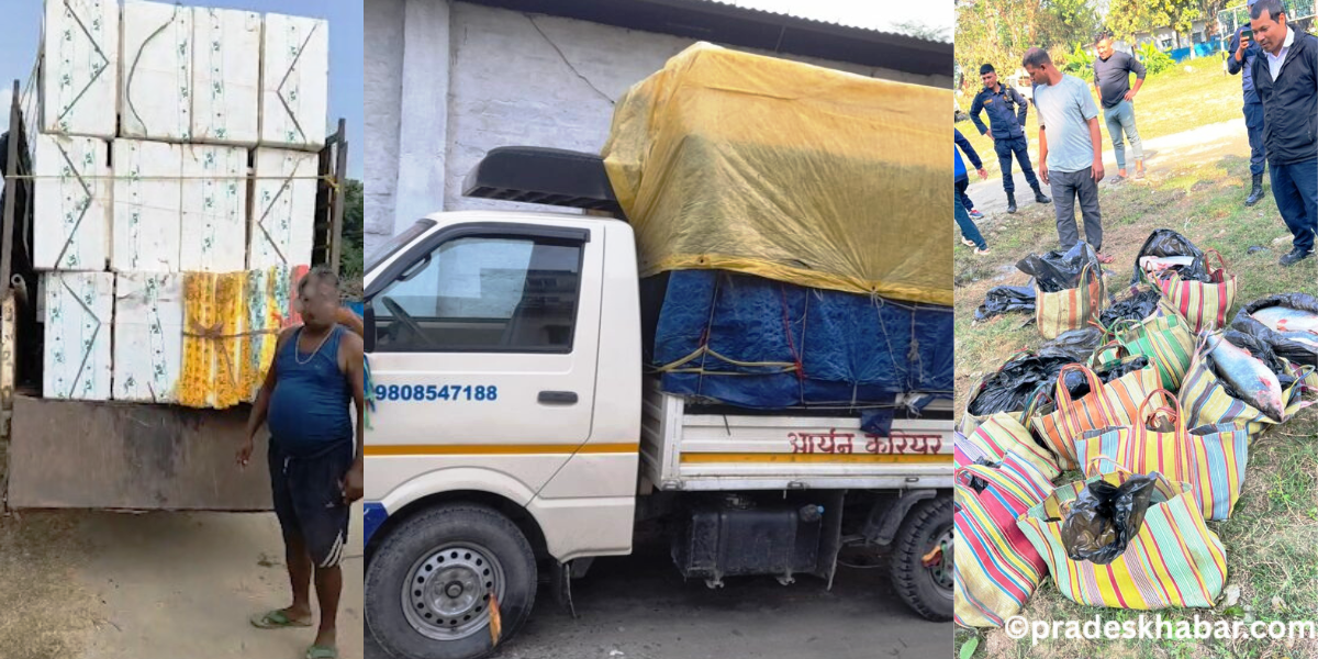 दक्षिणी झापामा सीमावर्ती नाकाबाट भारतीय माछाको तस्करी, प्रहरीमाथि मिलेमतोको आरोप