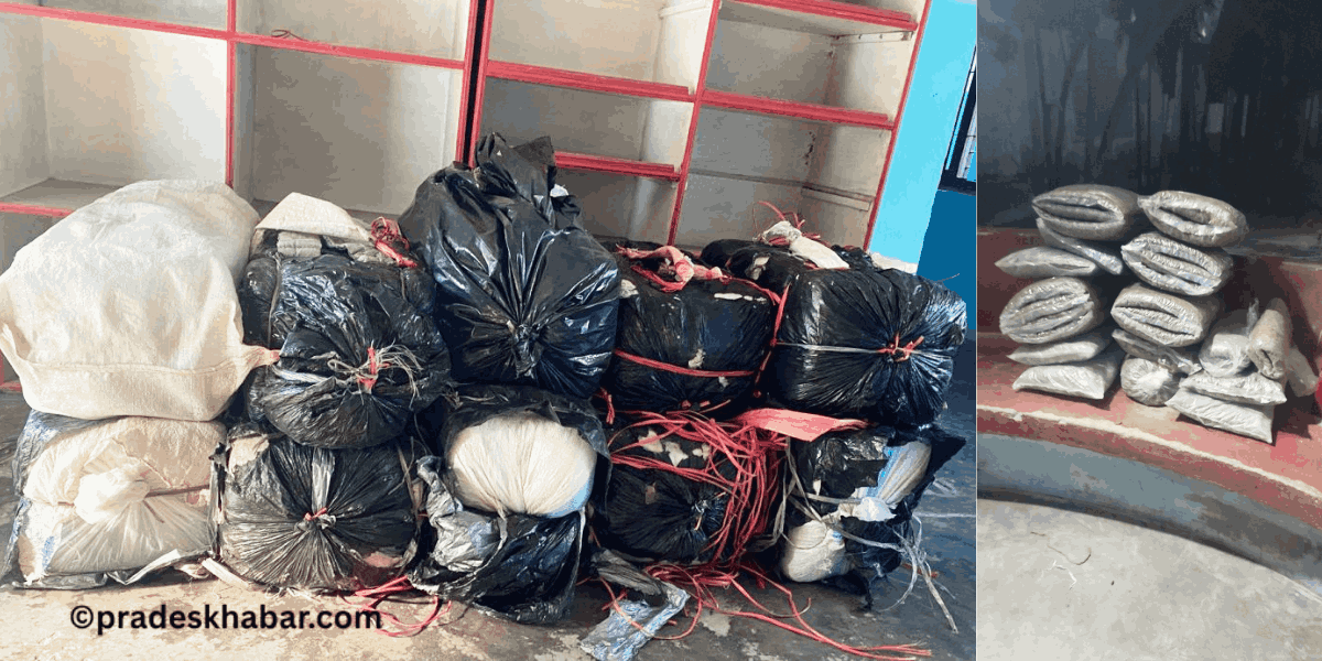 धरानबाट २६८ किलो र इटहरीबाट २५ किलो गाँजा बरामद, दुई जना पक्राउ