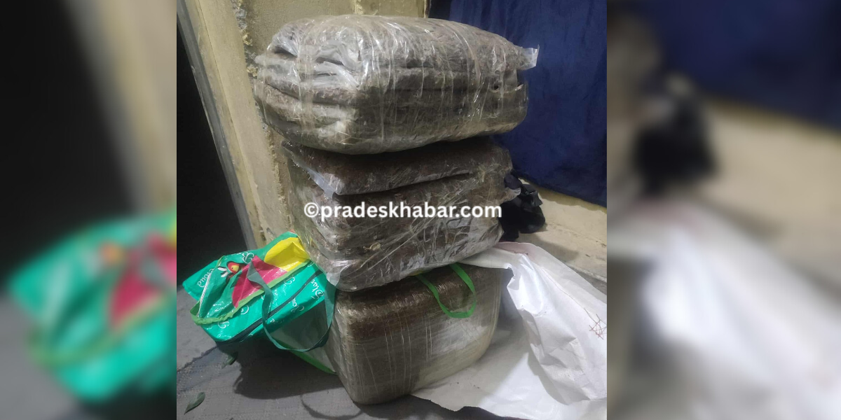 धरानमा २५ किलो गाँजासहित मोटरसाइकल बरामद