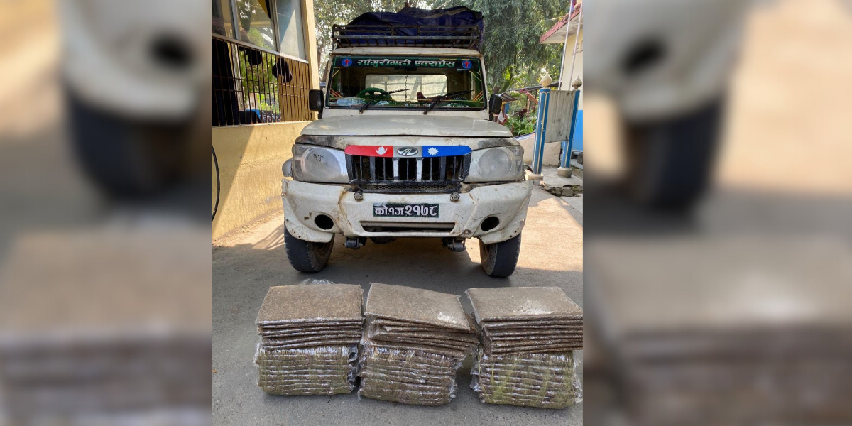 अवैद्य गाँजा सहित दुई जना पक्राउ