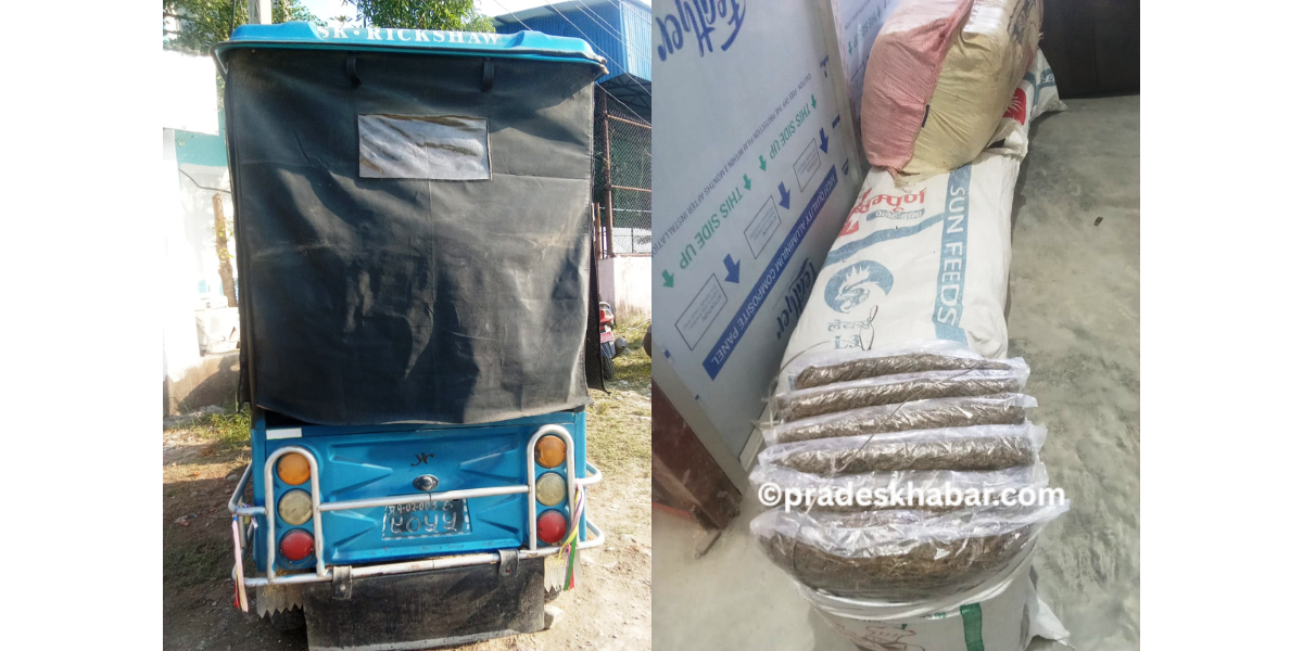 इटहरीबाट ९८ किलो गाँजा सहित २ जना पक्राउ