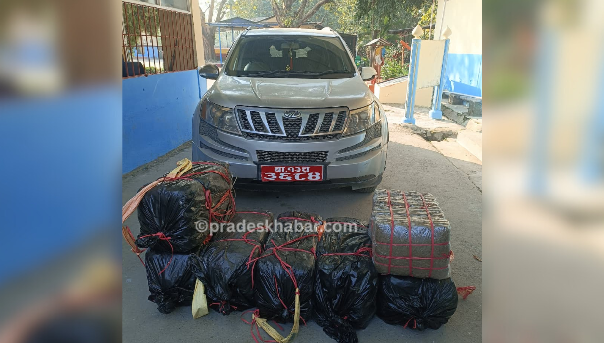 धरानमा १८० केजी गाँजा बरामद