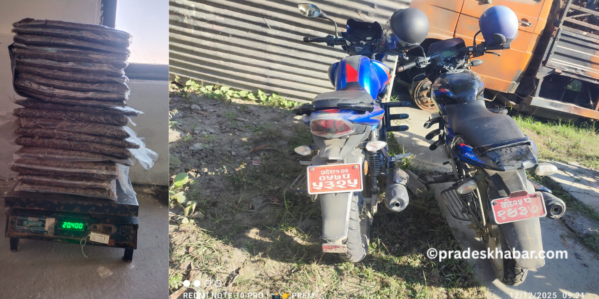 इटहरीबाट २० किलो गाँजासहित दुईजना पक्राउ