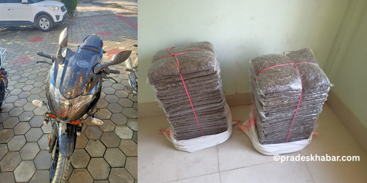 सुनसरीबाट ६० किलो गाँजा फालेर मोटरसाइकल चालक फरार