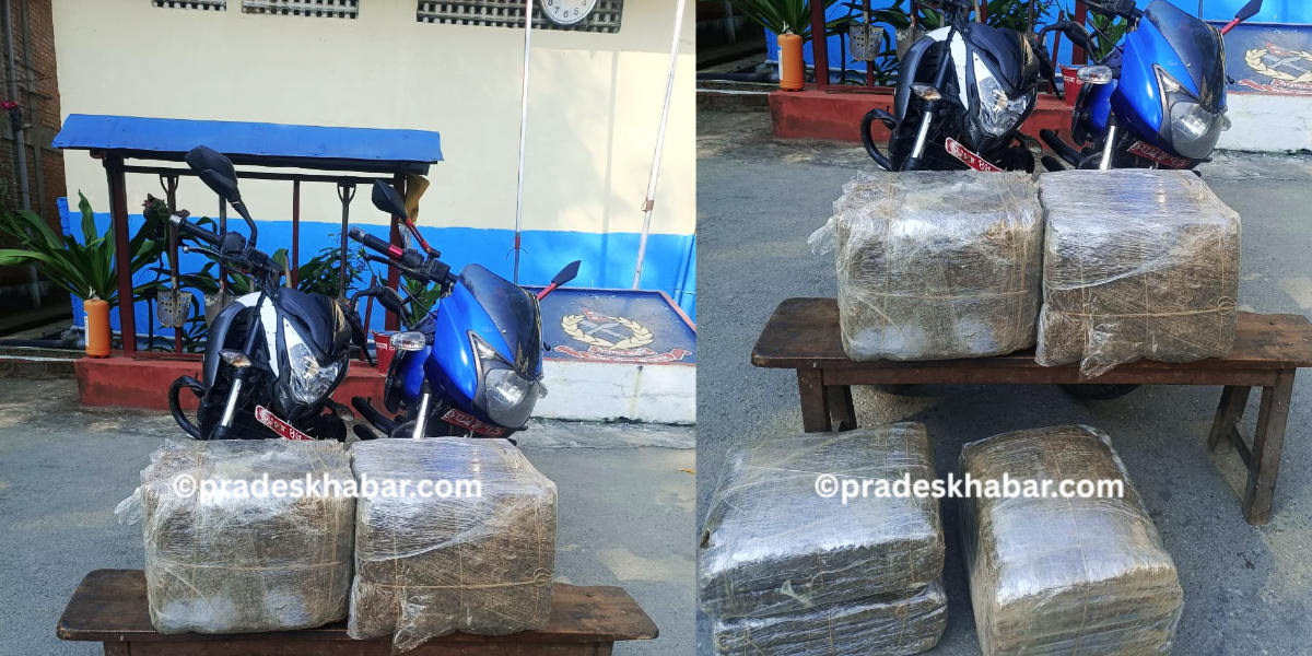 भेडेटारबाट धरान ल्याउँदै गरेको ४९ किलो गाँजा बरामद