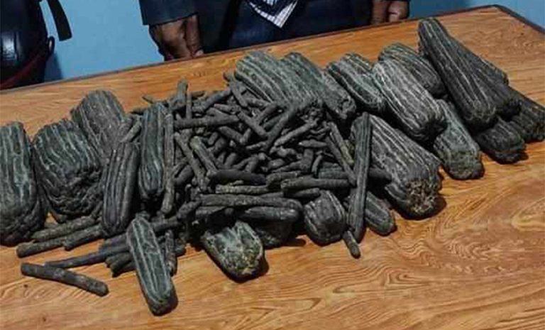 पर्सामा खेतभित्र ५४ किलो चरेस बरामद