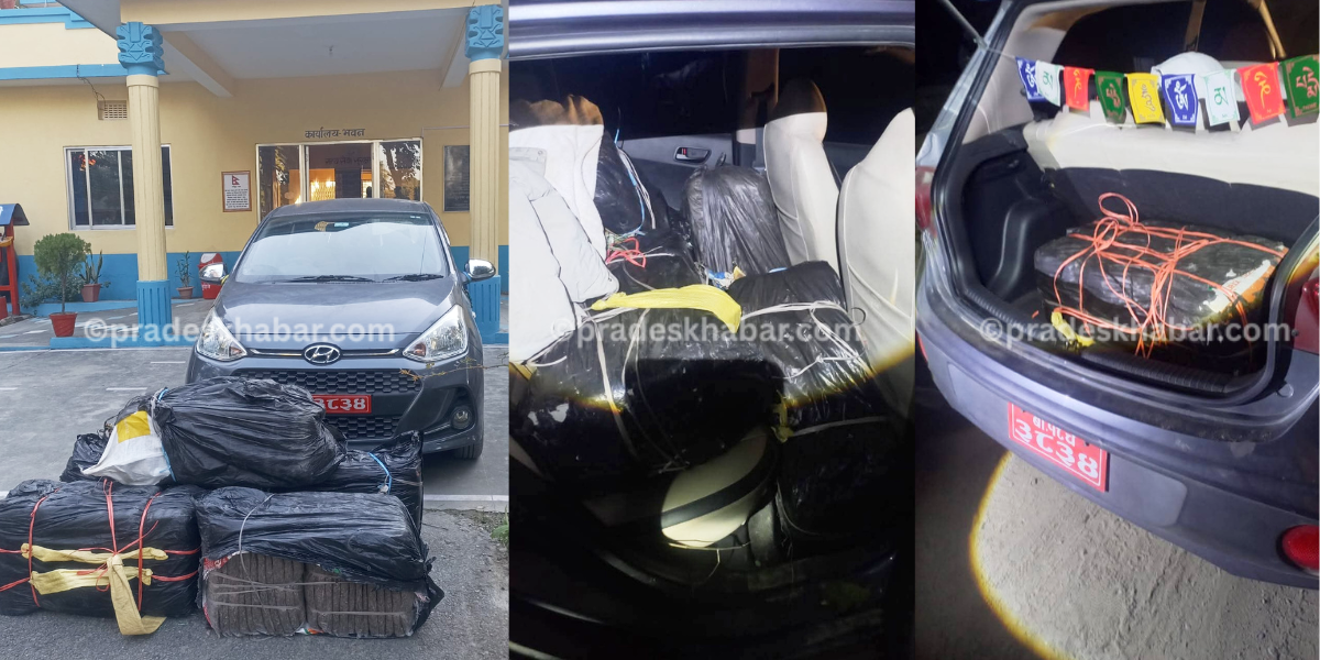 वराहक्षेत्रमा महेन्द्रनगर प्रहरीको सक्रियता: लागू औषध नियन्त्रणमा निरन्तर सफलता