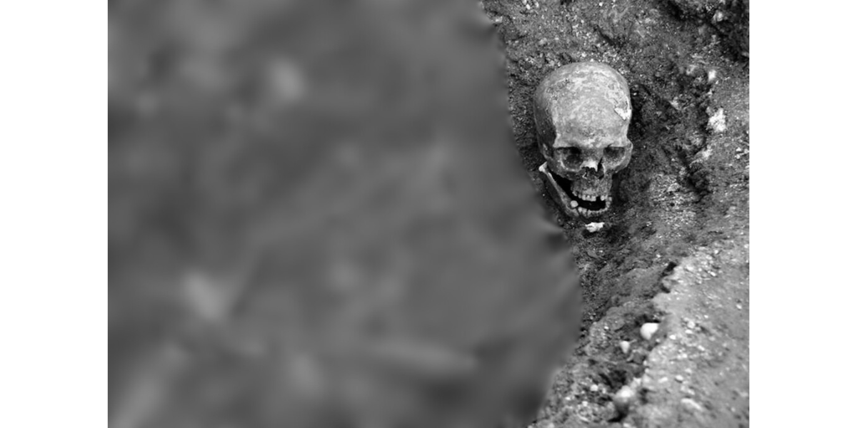 ताप्लेजुङको जंगलमा मानव टाउकोको हड्डी फेला, अनुसन्धान अघि बढ्यो