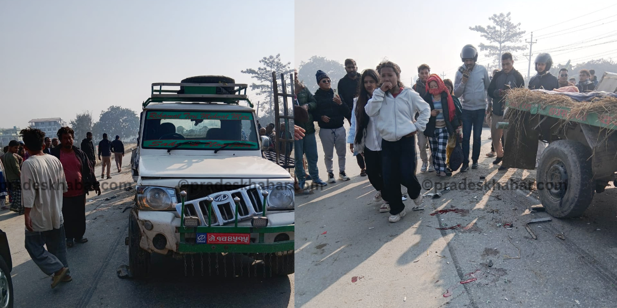 झापामा पिकअप र बस ठोक्किँदा एक जनाको मृत्यु, १२ जना घाइते