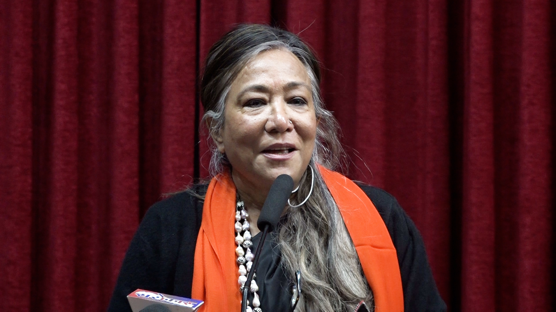 महिलामाथिको हिंसा विभेदको कारण र परिणाम दुवै हो : सपना प्रधान मल्ल