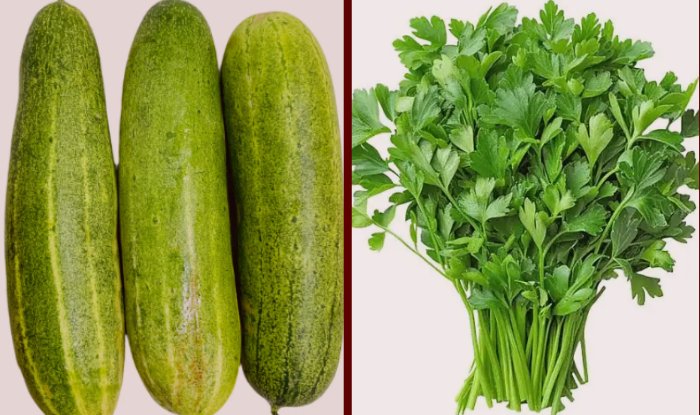 हरियो धनियाँ र काँक्रोमा भेटियो अत्यधिक विषादी