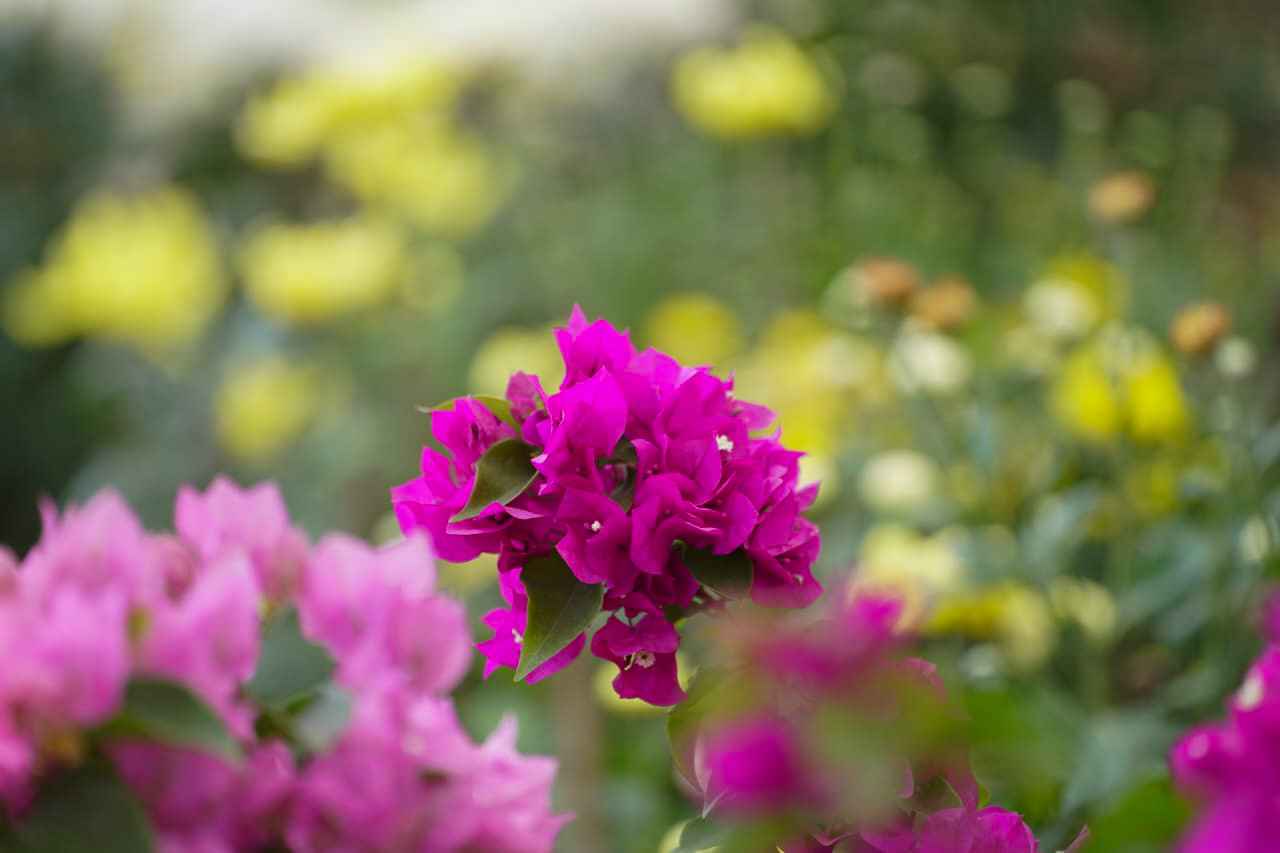 Photo (12) (20)_11zon