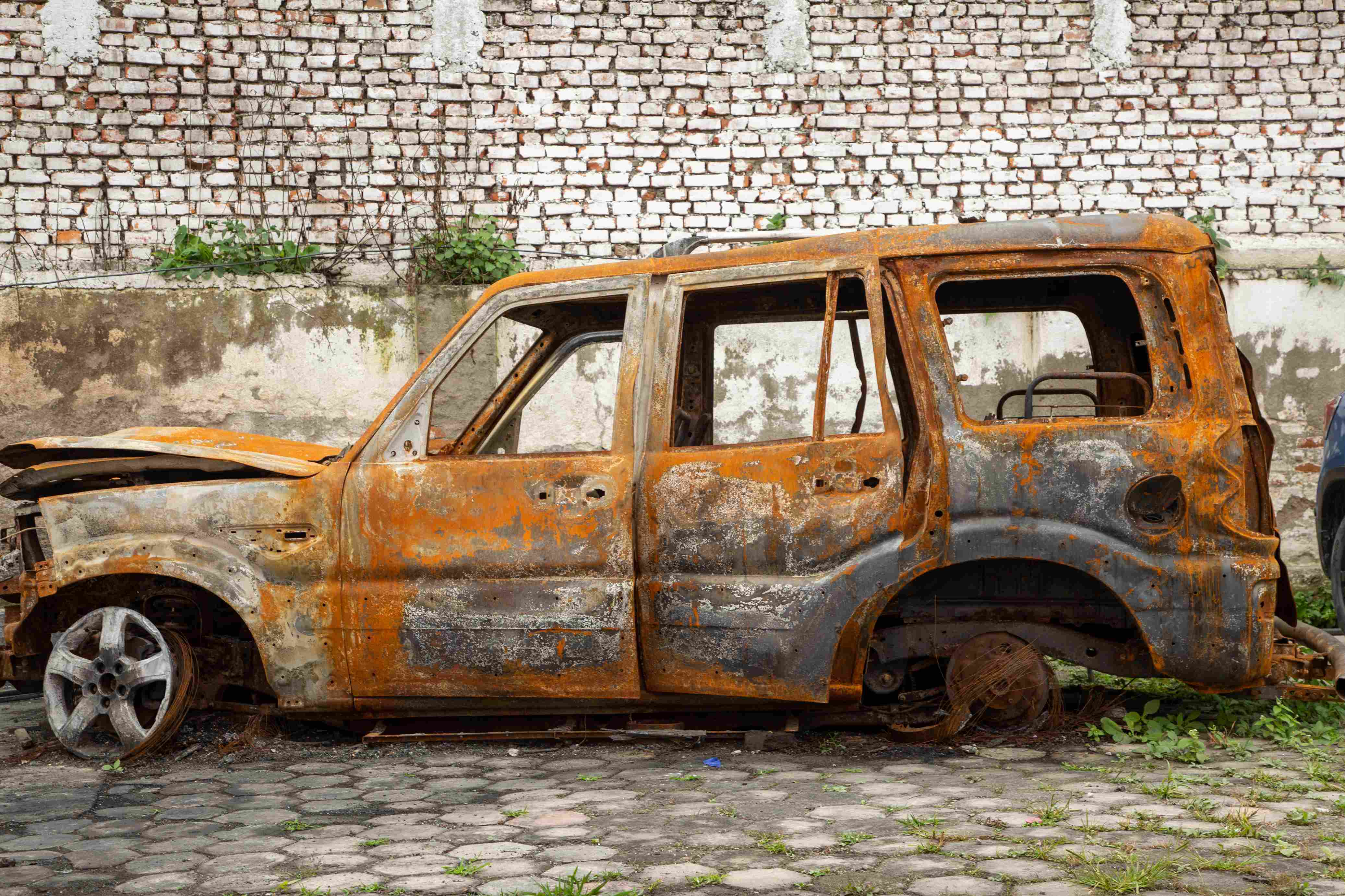 Photo (12) (5)_11zon