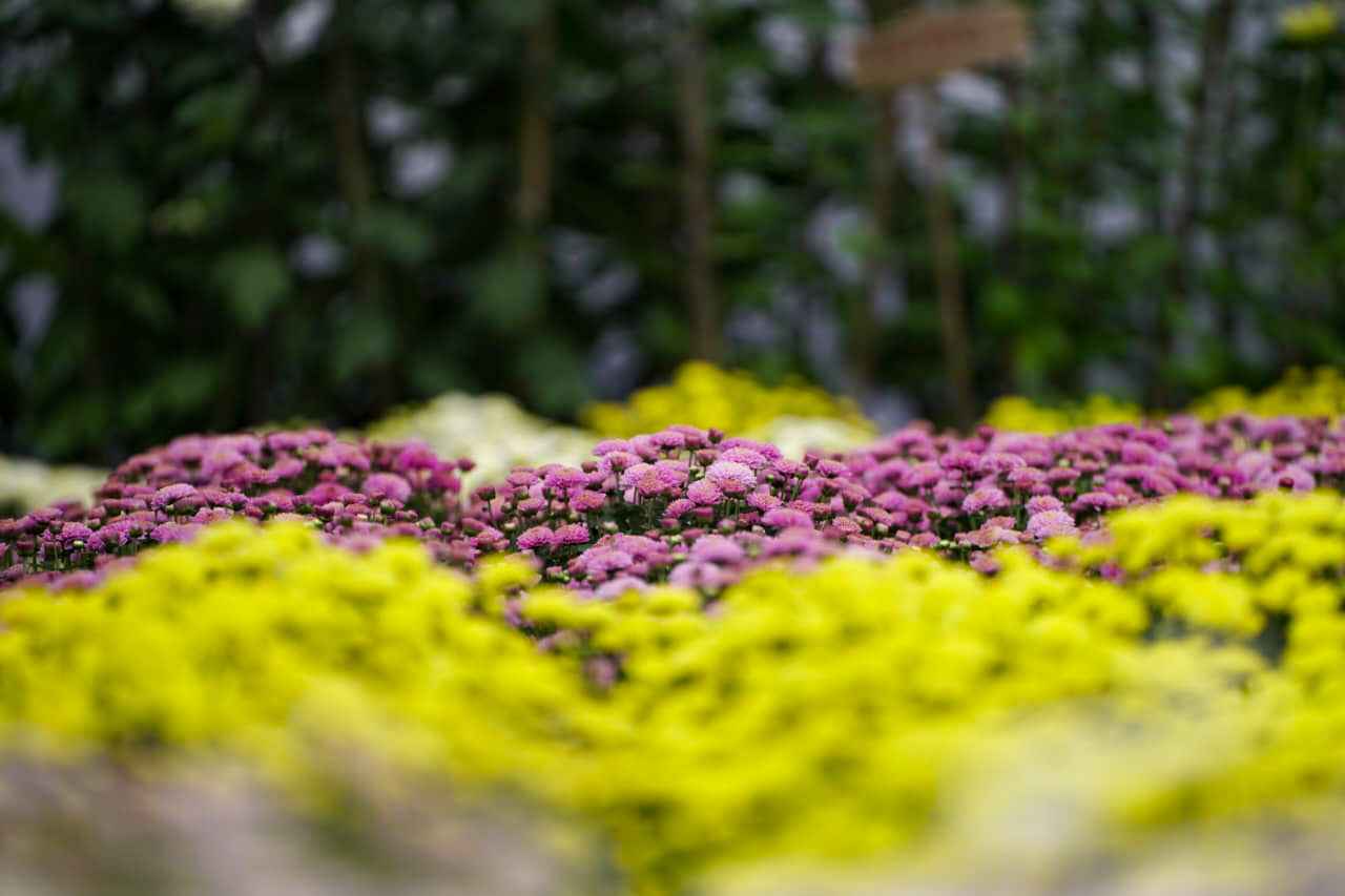 Photo (13) (22)_11zon