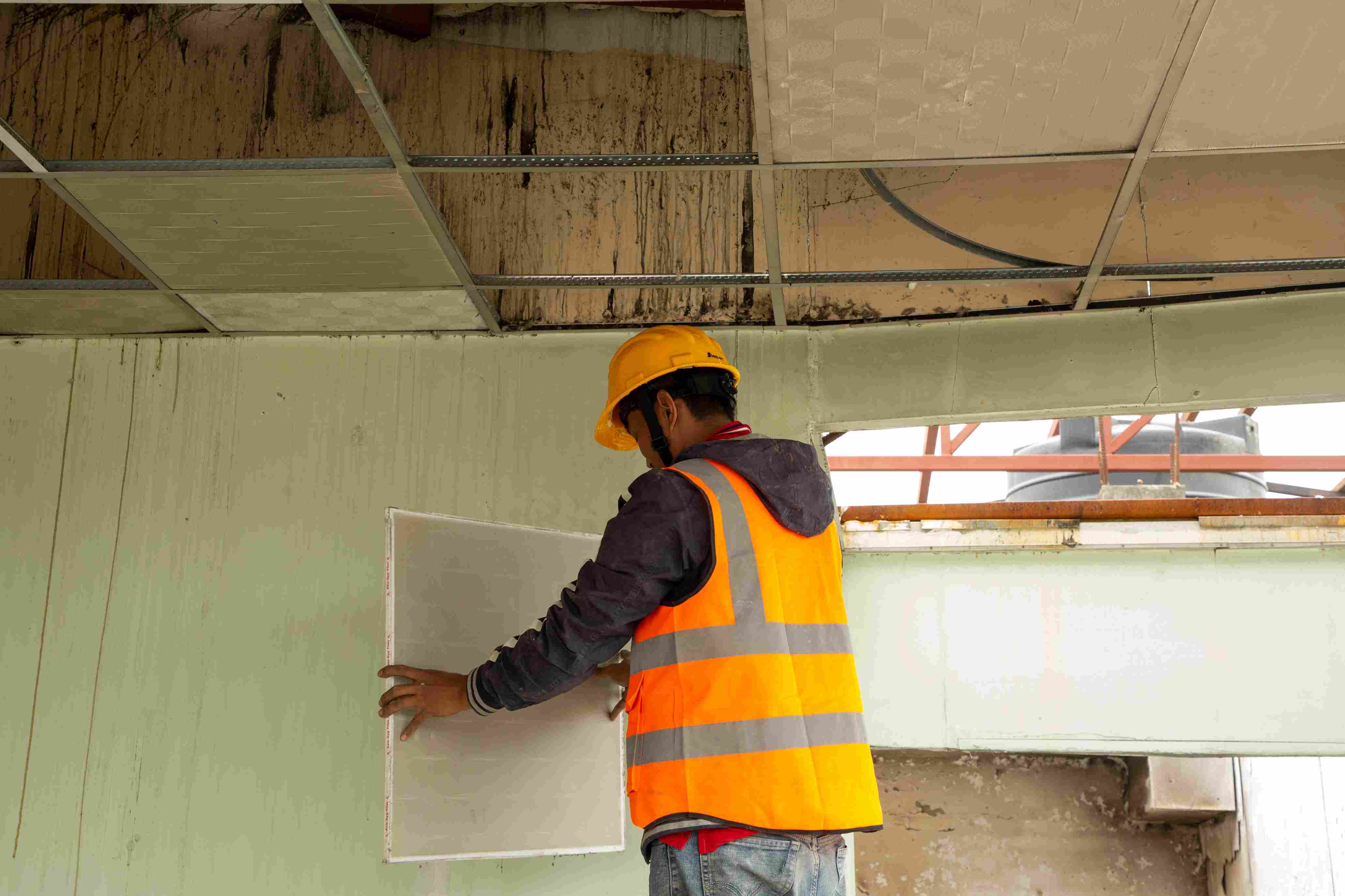 Photo (19) (3)_11zon