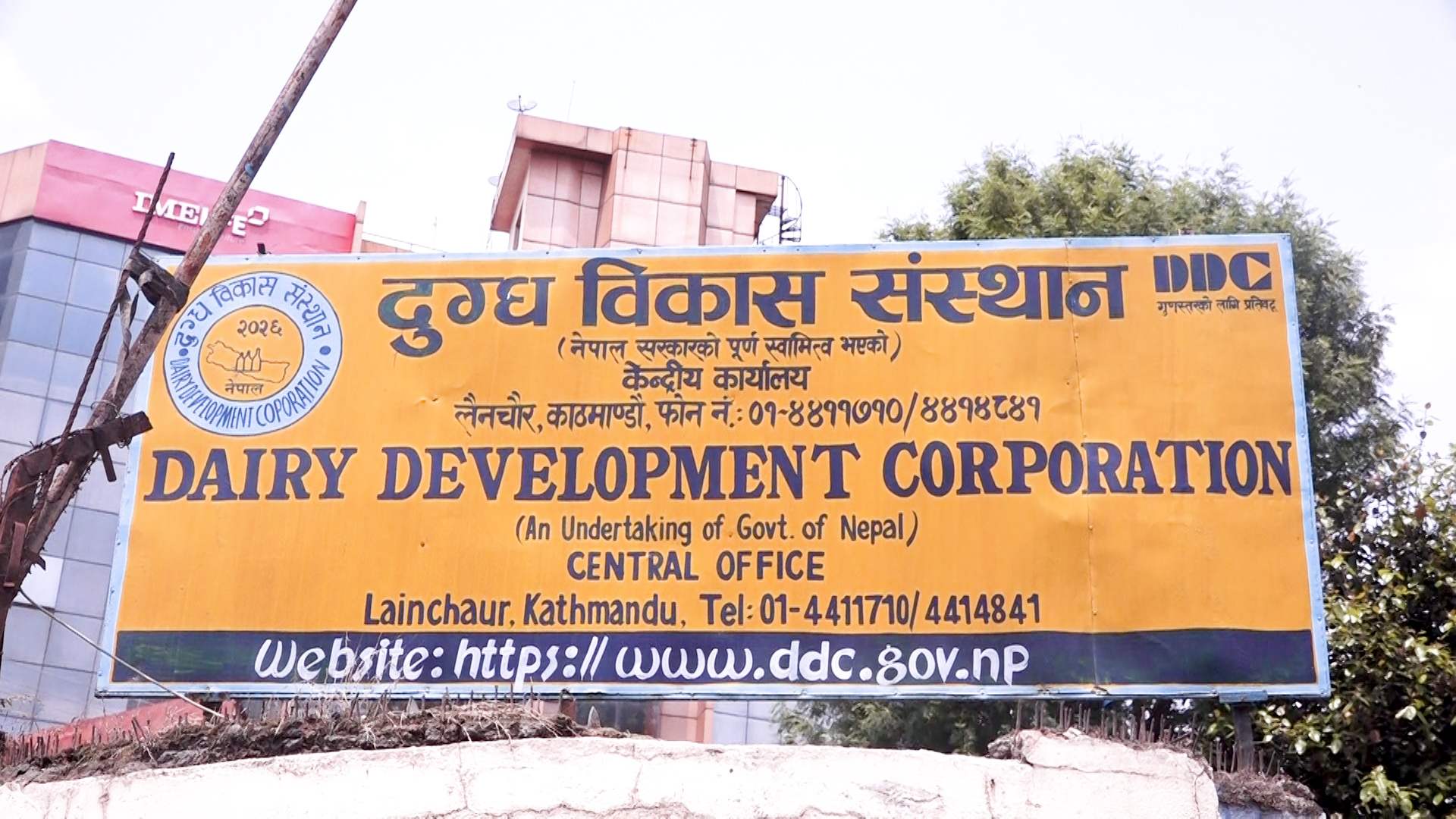 निजी क्षेत्रको आक्रामक बजार विस्तारले डीडीसीलाई अस्तित्व जोगाउन हम्मे