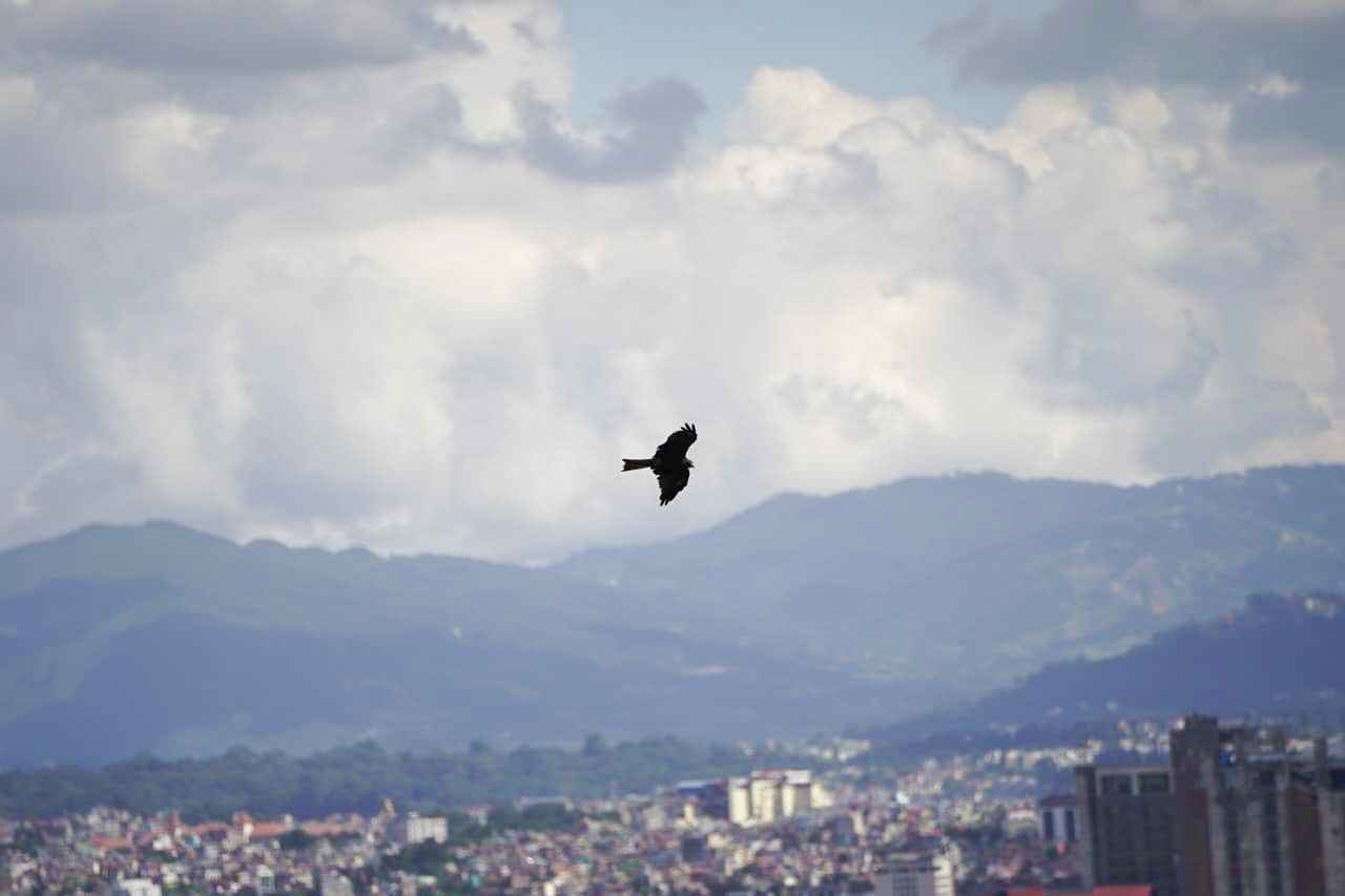 Photo (5) (17)_11zon