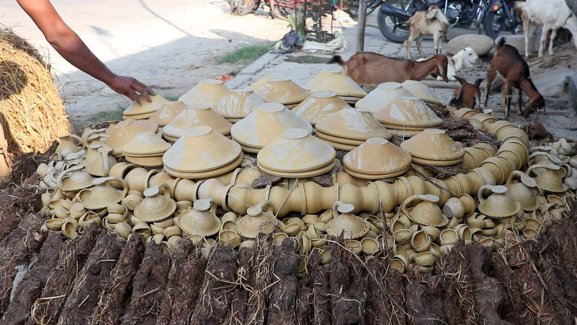 Photo (8) (24)_11zon