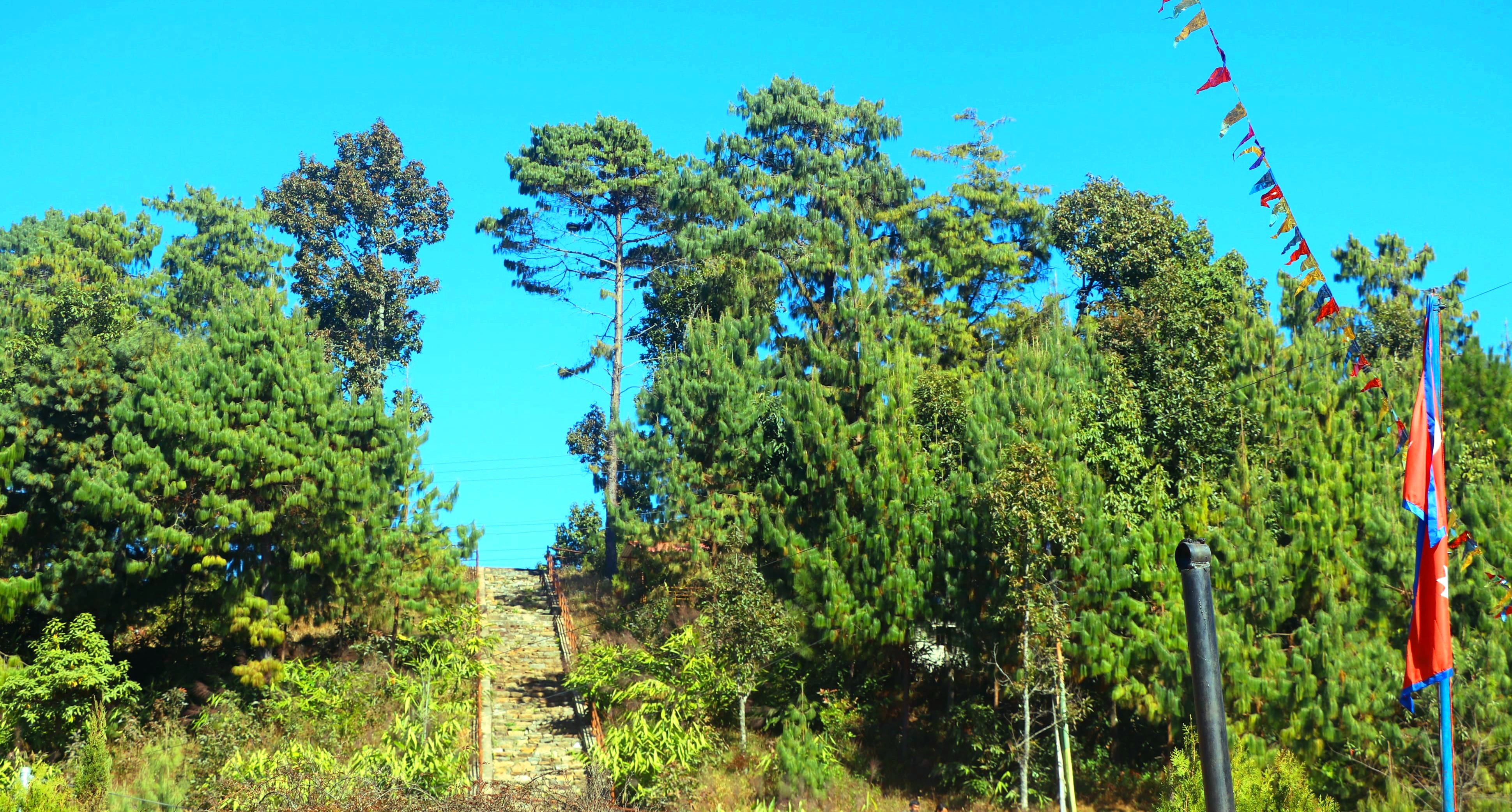 भोजपुरको काफ्ले डाँडालाई पर्यटकीय क्षेत्रका रुपमा विकास गरिँदै