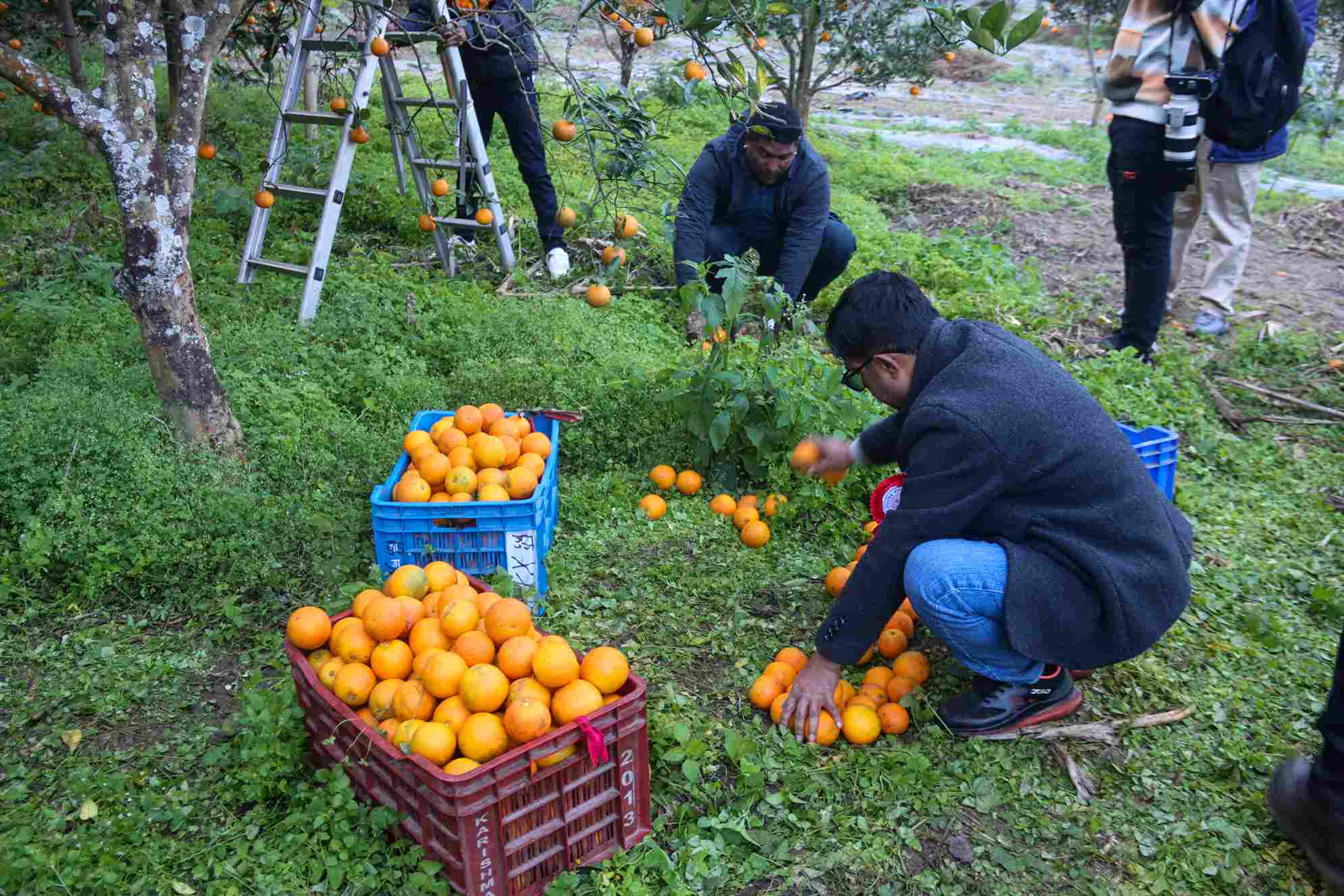 photo-10_604909ae_11zon