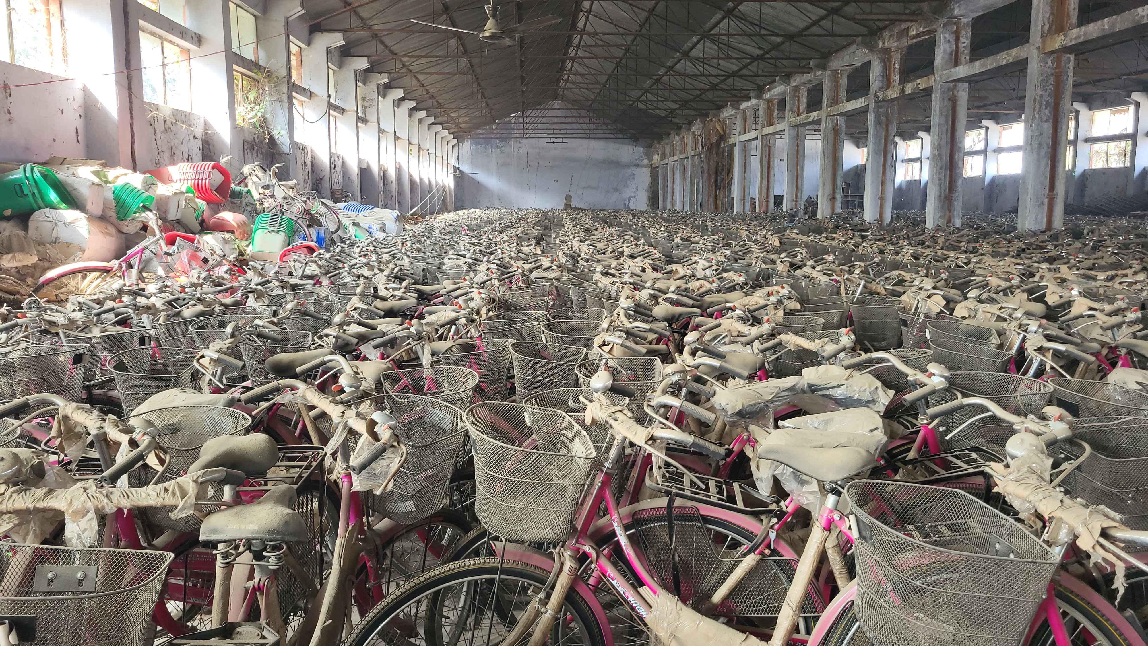 photo-11_123b7176_11zon