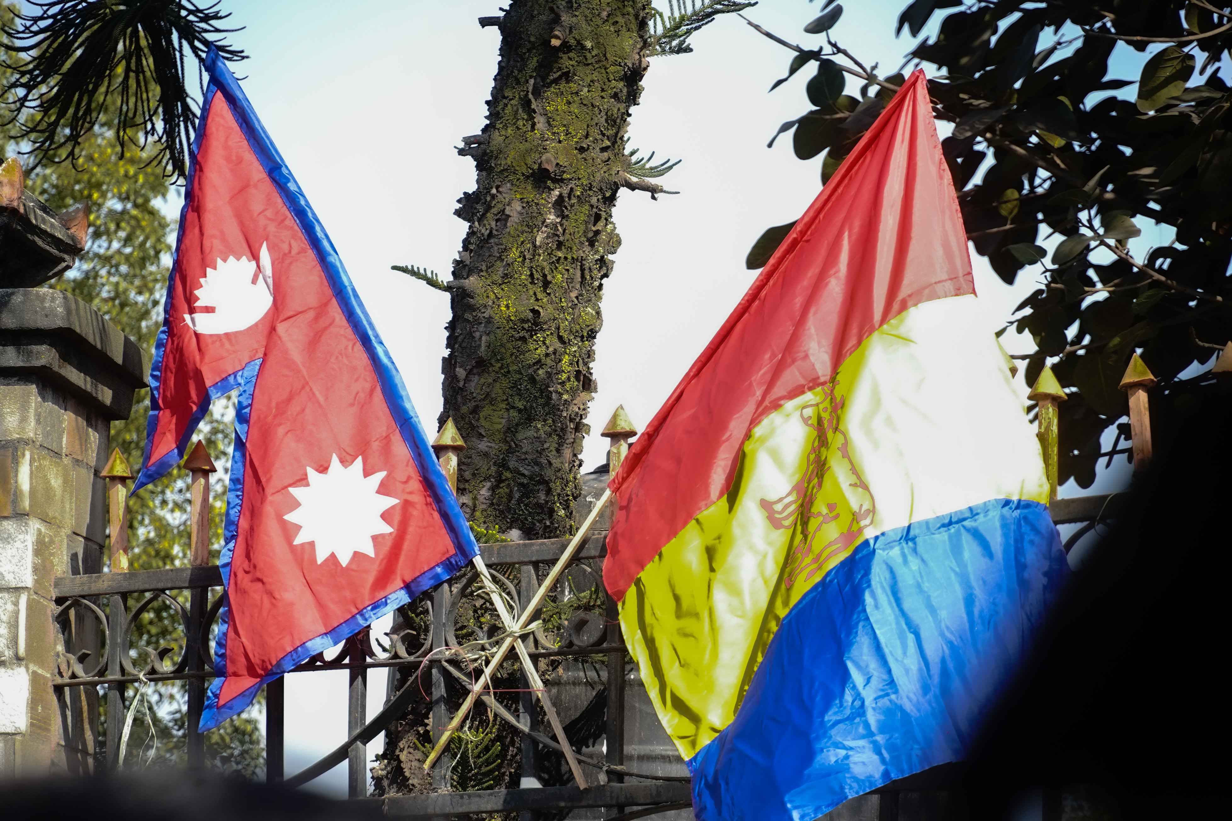 photo-12_e97ac941_11zon