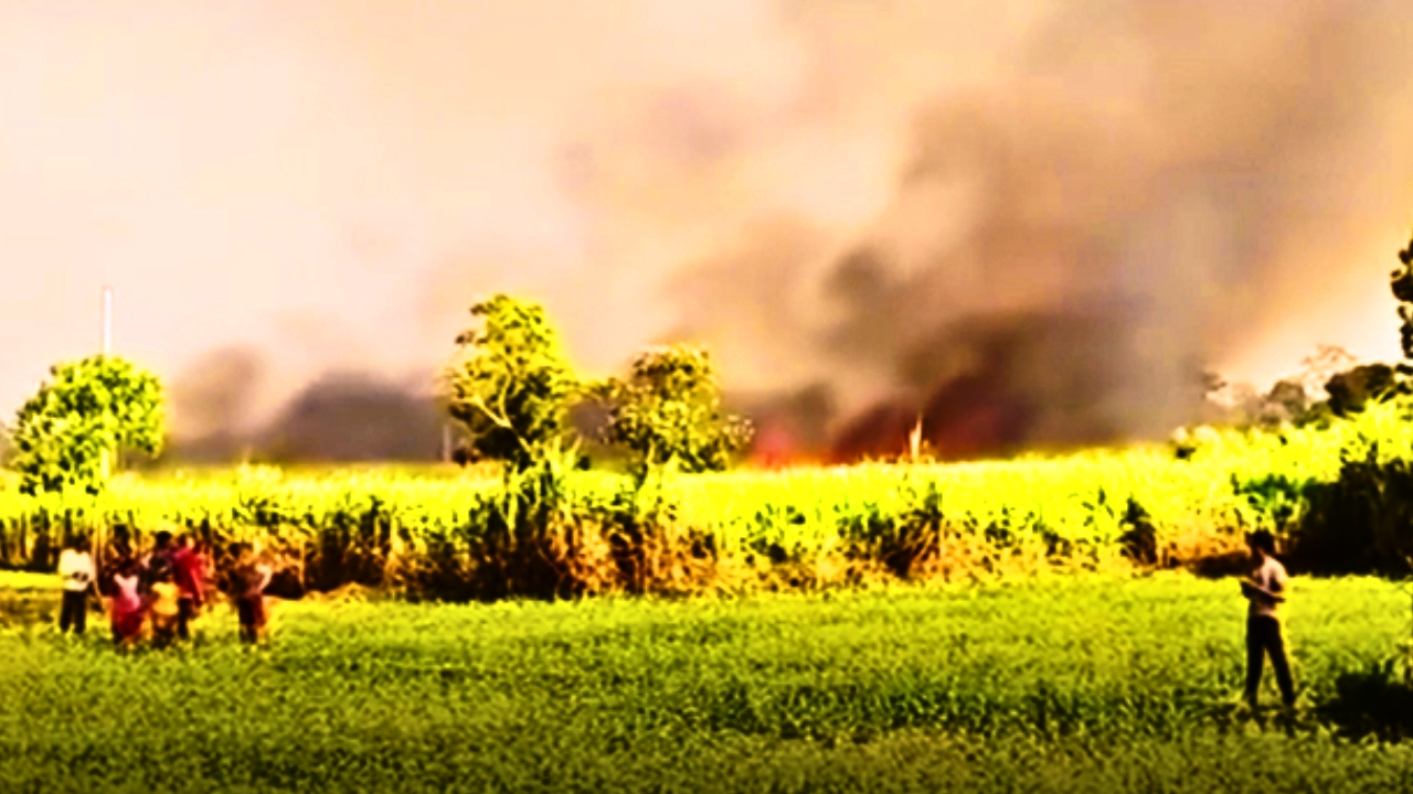 सर्लाहीको उखु खेतीमा भीषण आगलागी (तस्बिरहरुसहित)