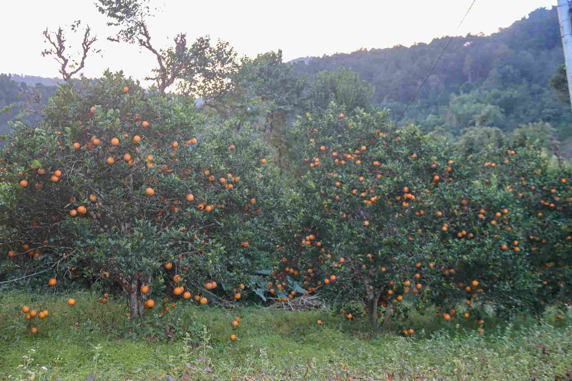 photo-1_b04c9930_11zon