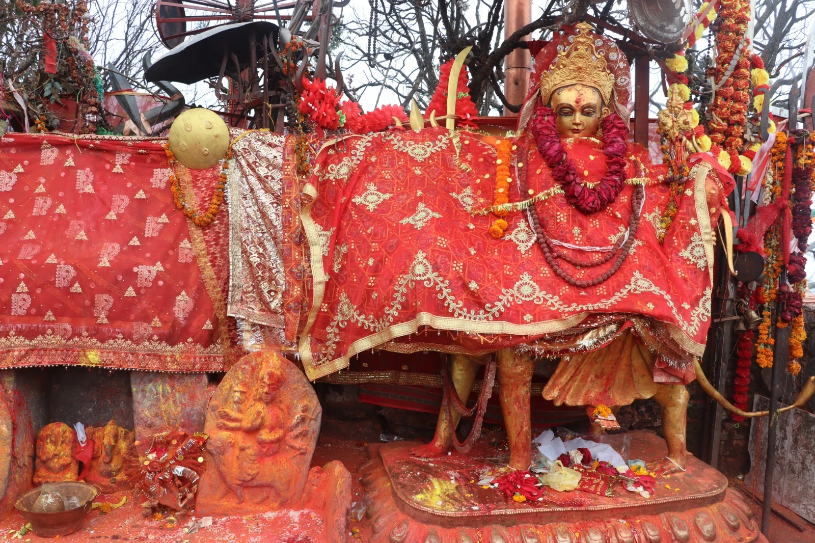 तीन महिनामा २० बढीले गरे पाथीभराको दर्शन, ३३ लाख २६ हजार भेटी संकलन