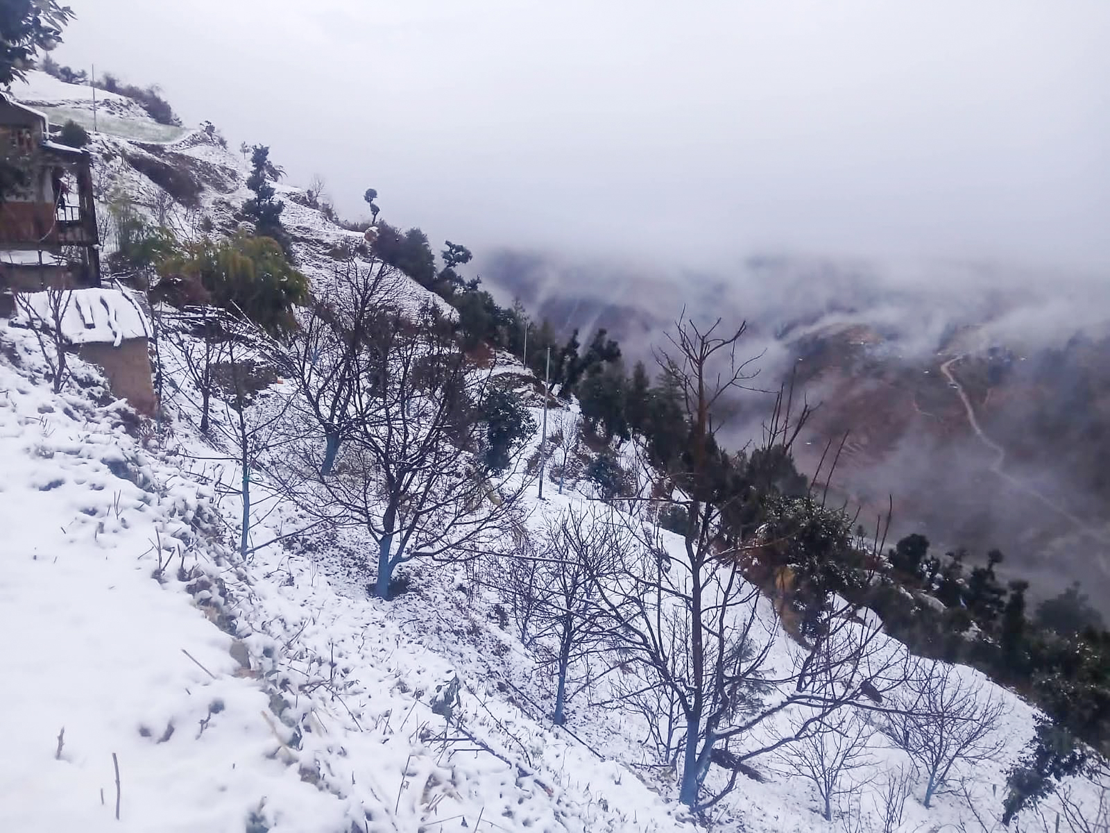 सुदूरपश्चिममा हिमपात : राजमार्ग र विद्युत् सेवा अवरुद्ध