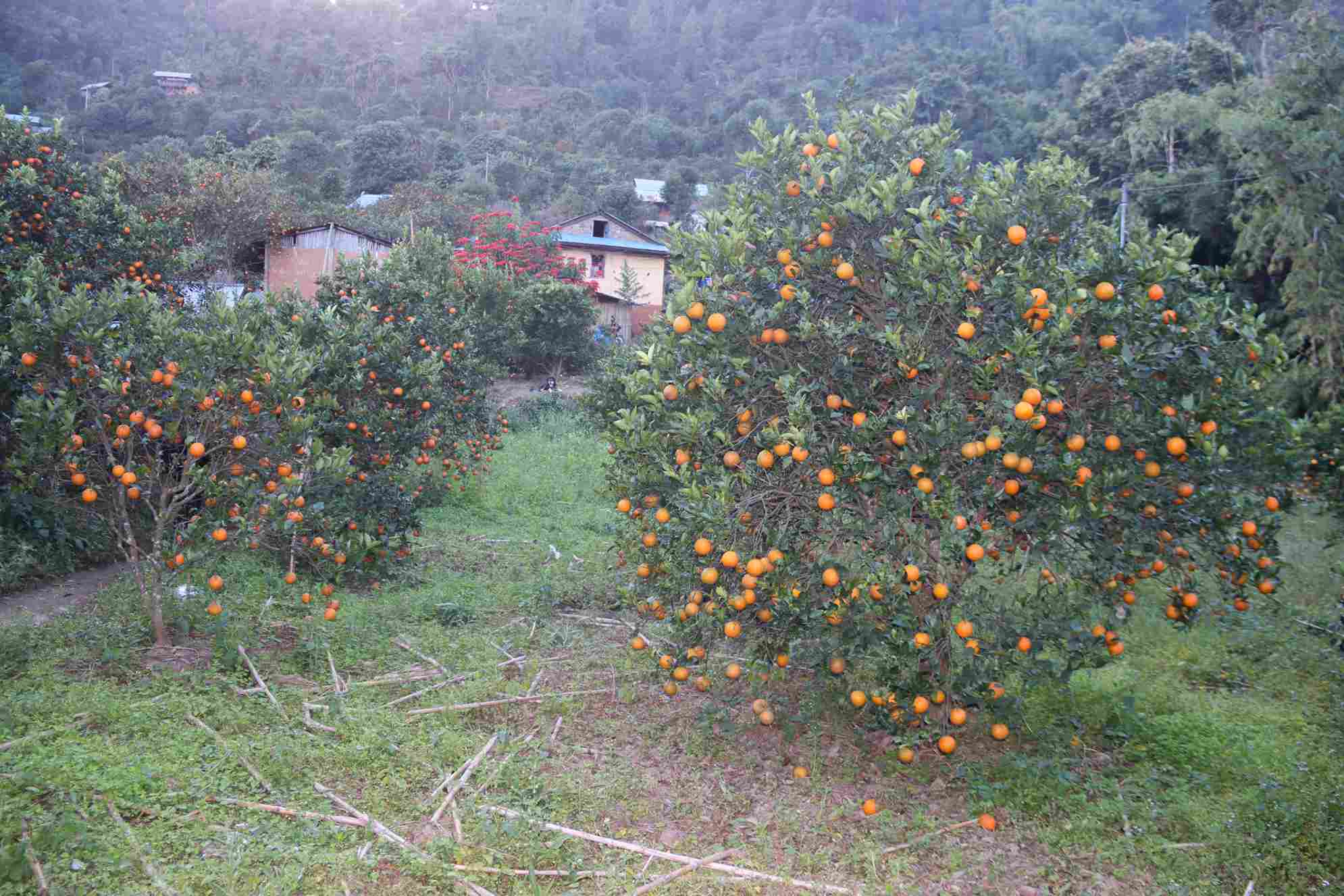 photo-5_48c63d52_11zon