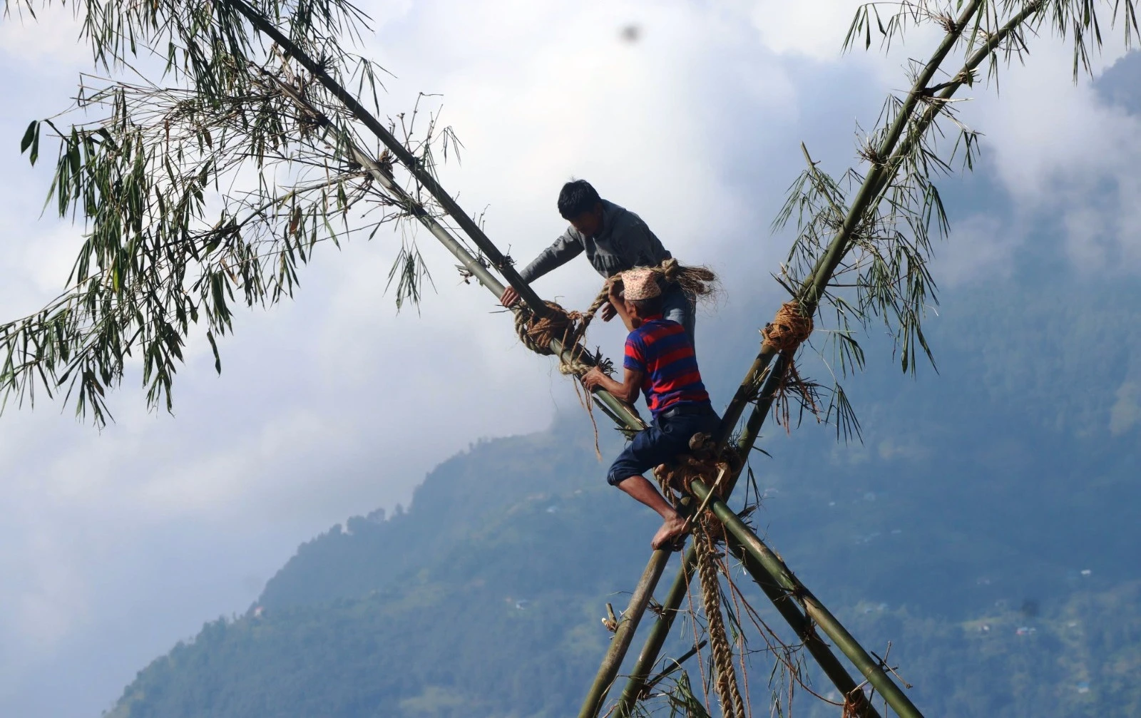 दसैँमा धर्ती छाड्ने परम्परा सङ्कटमा, ताप्लेजुङमा यस वर्ष करिब ६ वटा मात्रै लिङ्गे पिङ