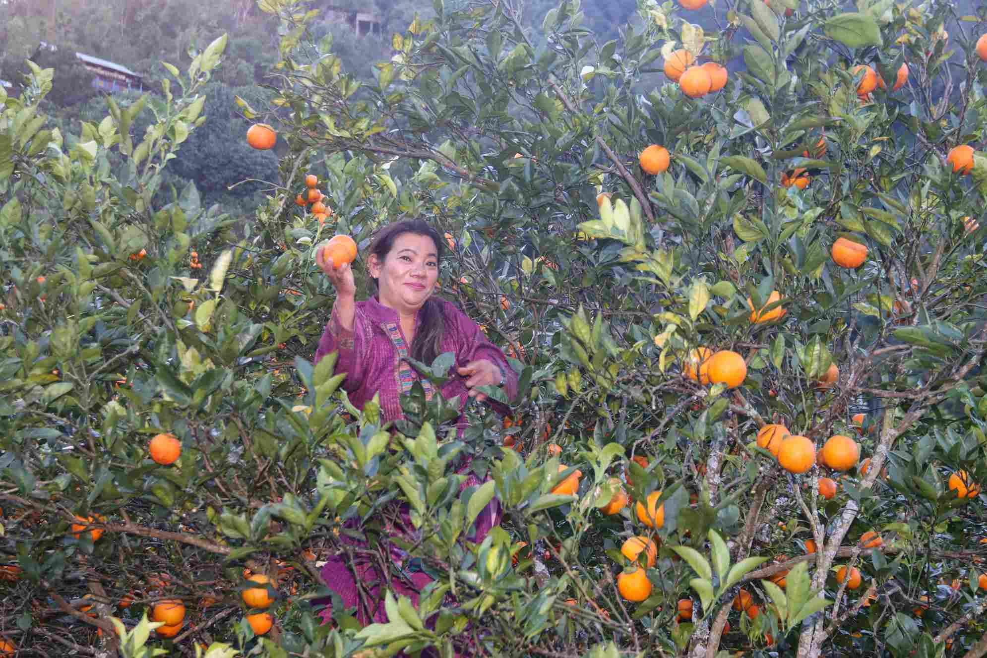 photo-9_b92f06c6_11zon