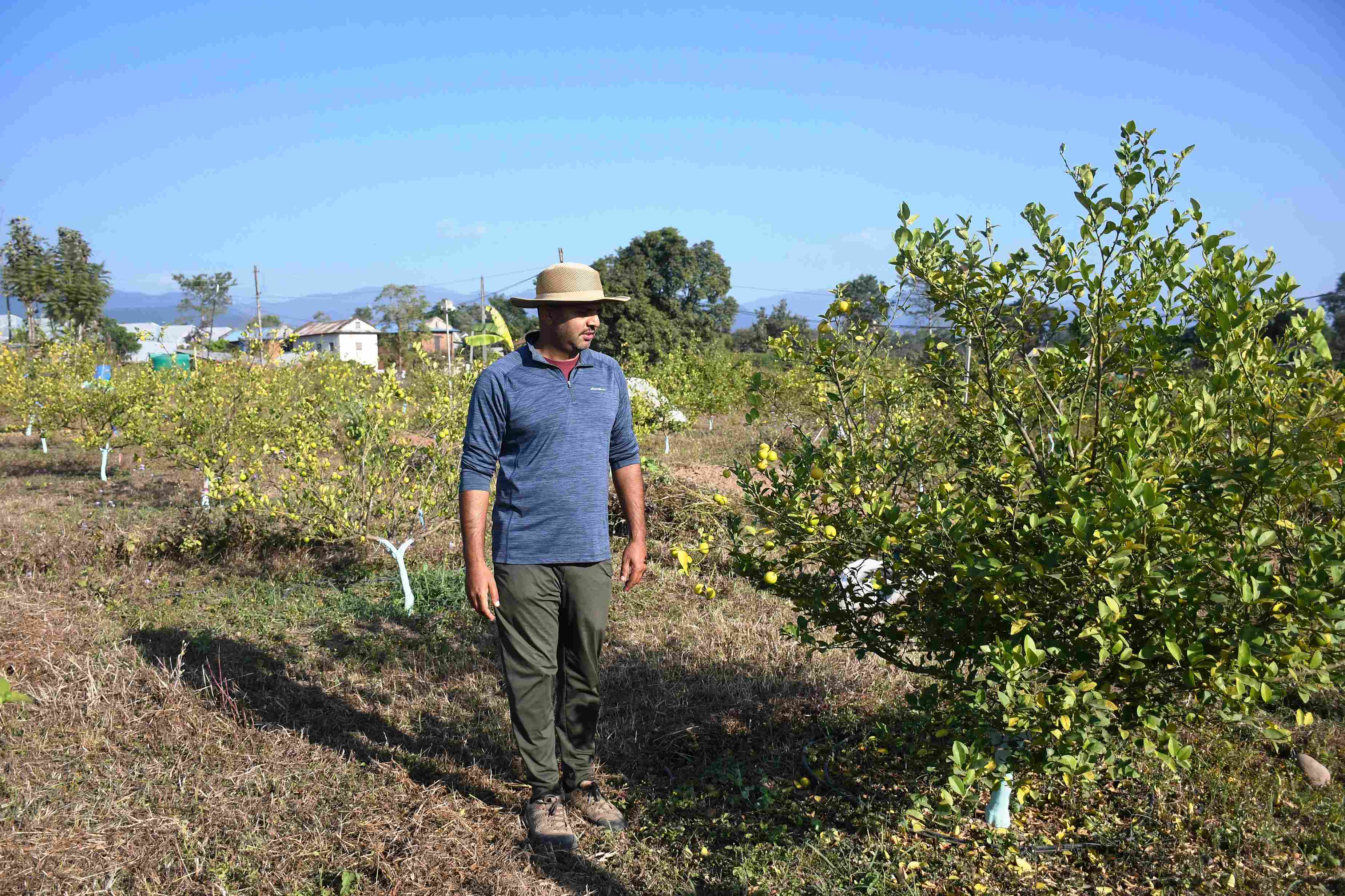व्यावसायिक कागतीखेतीमा व्यस्त सिभिल इन्जिनियर लोहनी