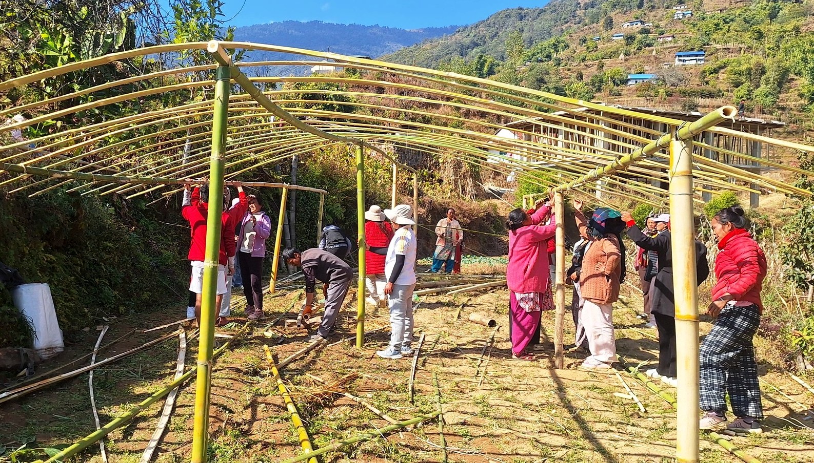 भोजपुर तिम्माका महिलालाई तरकारी खेती गर्न टनेल वितरण