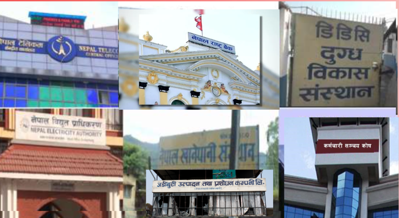 सार्वजनिक संस्थानका कर्मचारीहरूको एउटै बैठकको भत्ता ९ हजार रुपैयाँ सम्म