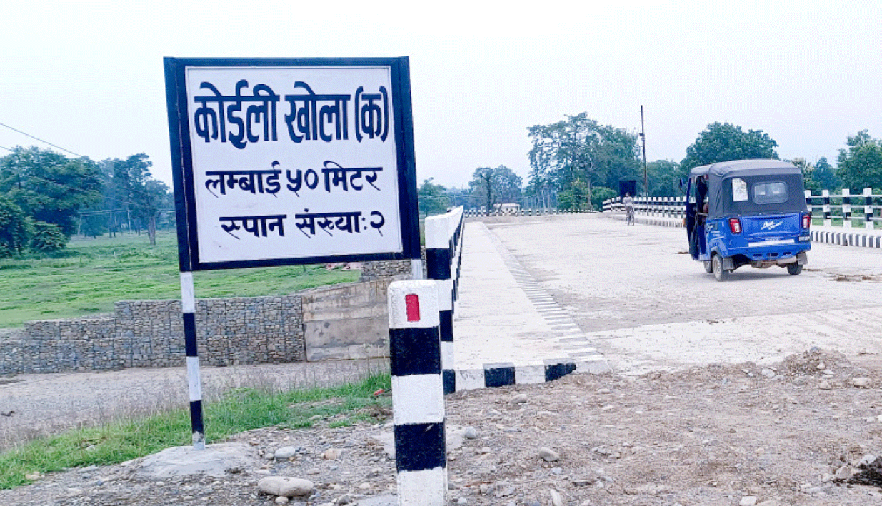 २ वर्षको ठेक्का लागेको पुल नौ महिनामै तयार