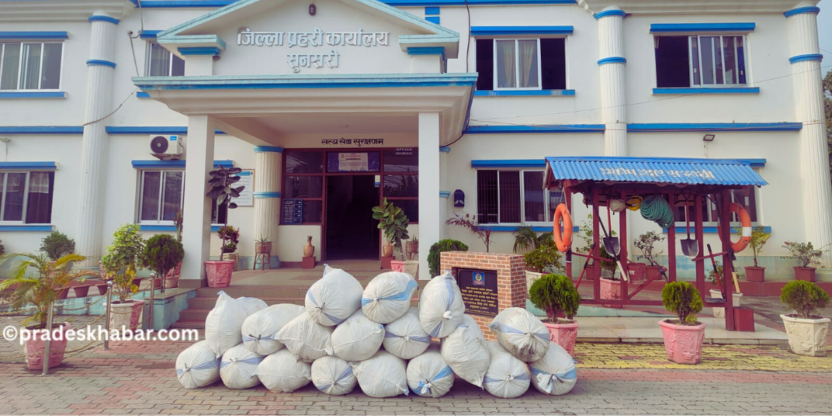 सुनसरी प्रहरीले बरामद गर्‍यो ६३७ केजी गाँजा