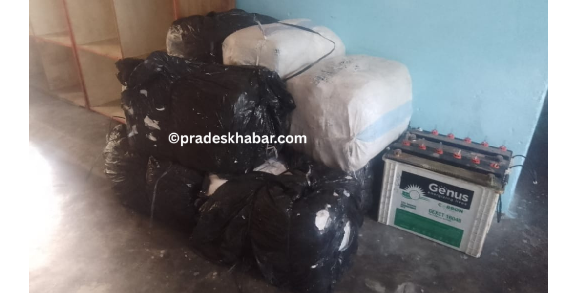 भेडेटारबाट धरान ल्याउँदै गरेको २७५ केजी गाँजासहित एक जना पक्राउ