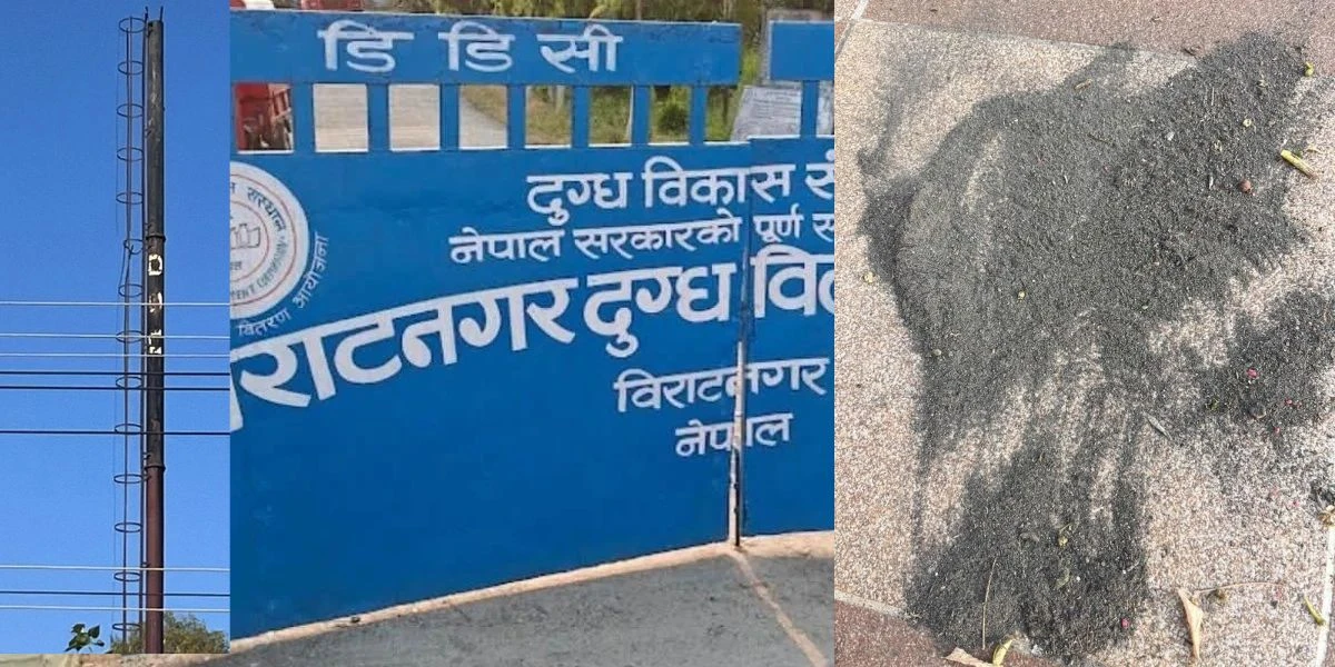 विराटनगरमा डीडीसीको धुलो आतंक : घरआँगनदेखि कोठासम्म कालाम्मे, स्थानीय भन्छन्– ‘स्वास्थ्यमा खेलवाड भयो’