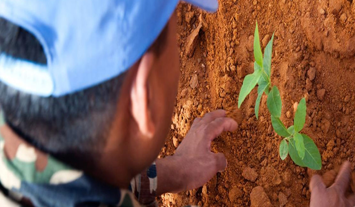 युद्ध र सशस्त्र द्वन्द्वमा वातावरणको दुरुपयोग रोक्ने अन्तरराष्ट्रिय दिवस मनाइँदै